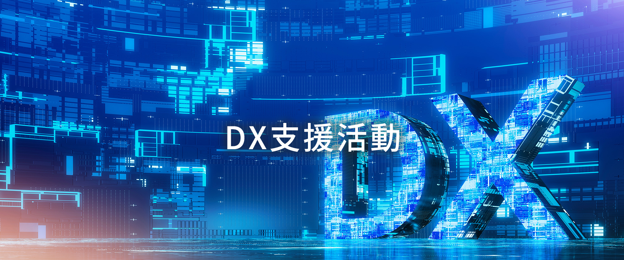 DX支援活動